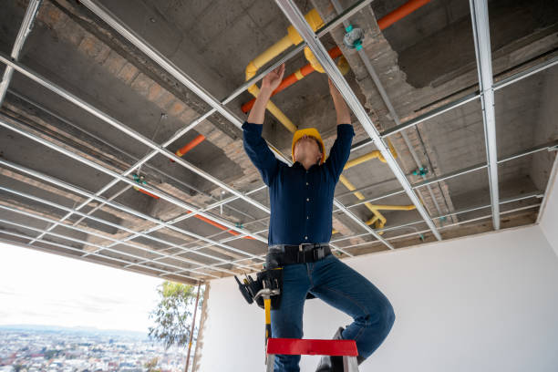 Best Affordable Plumbing Services  in Novato, CA